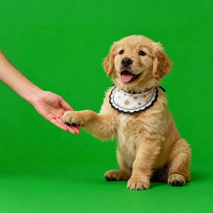 Custom Pet Name & Memorial Date Holographic Digital House – DIY Pet Memorial Ornament Christmas Gift